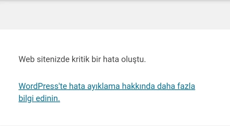 WordPress Kritik Hata Oluştu Sorunu