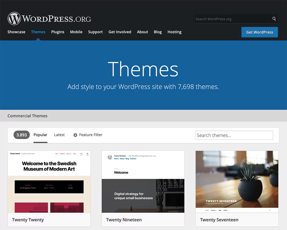 WordPress Tema Seçimi