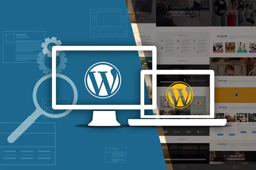WordPress Uzmanı Neler Yapar?