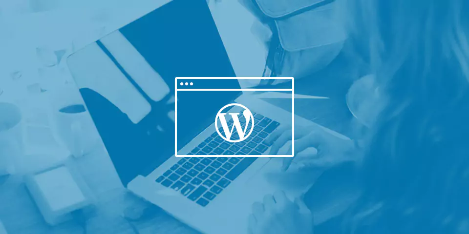 WordPress Web Tasarım Hizmeti