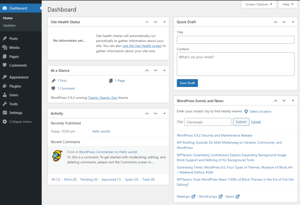 WordPress Yönetici Paneli